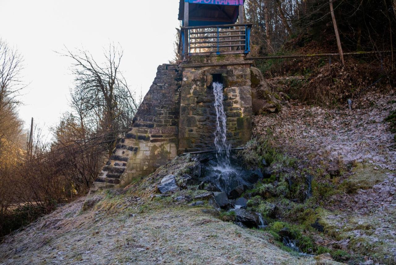 Celine Hotel Le Miridan Plombieres-les-Bains Bagian luar foto